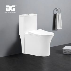 Manufacturer Ceramic Sitting WC Rimless S-trap Siphonic One Piece Toilet