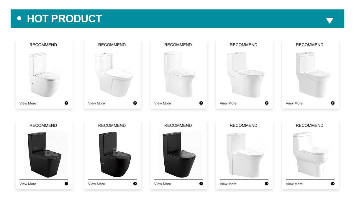 hot product-toilet