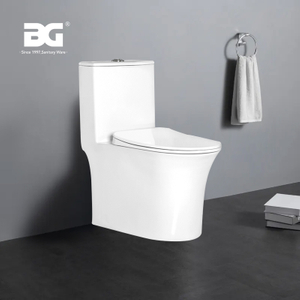 Popular color rimless european standard smart sense wc toilet