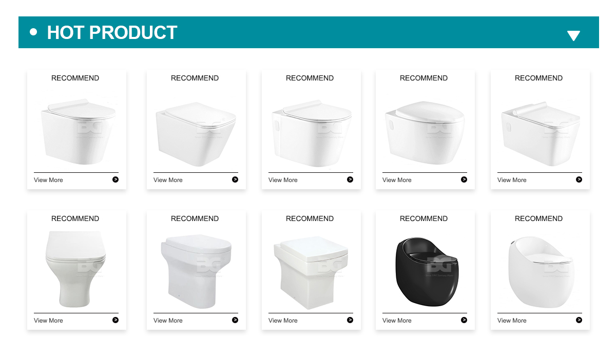 hot product-wall hung toilet