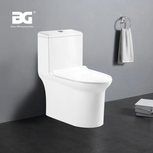 Siphonic flushing dual flush wear-resistant porcelain compressed-air-assisted one piece toilet