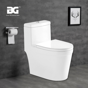 China Ceramic Toilets Dual Flush Rimless Toilets Ceramic Anti-odor Sitting Toilet